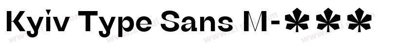 Kyiv Type Sans M字体转换